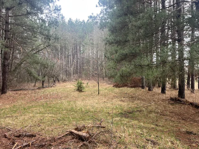 $57,900 | 67 Old 67 Road, Henning, MN 56551