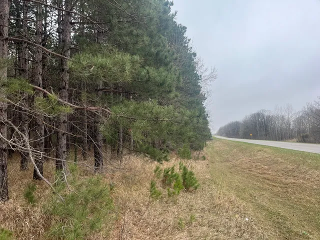 $57,900 | 67 Old 67 Road, Henning, MN 56551