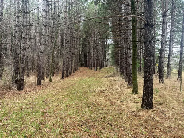 $57,900 | 67 Old 67 Road, Henning, MN 56551