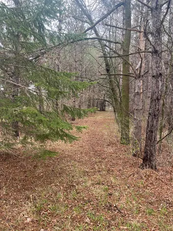 $57,900 | 67 Old 67 Road, Henning, MN 56551