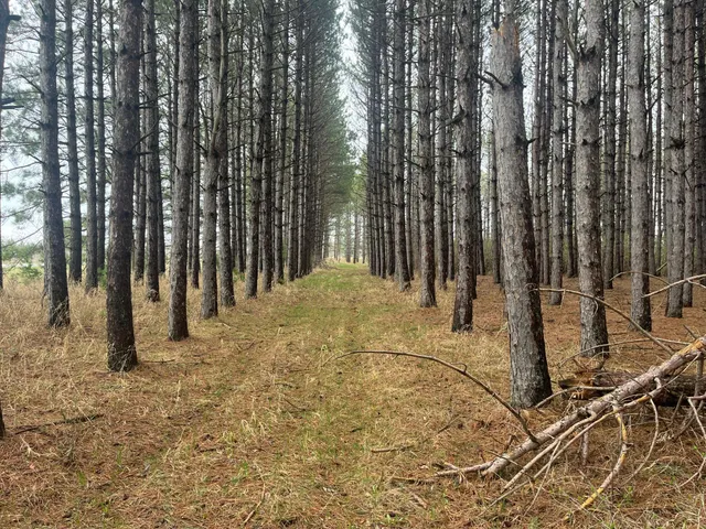 $57,900 | 67 Old 67 Road, Henning, MN 56551