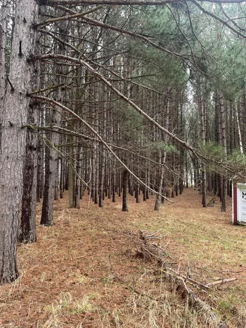 $57,900 | 67 Old 67 Road, Henning, MN 56551