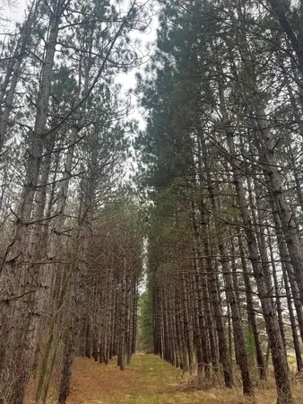 $57,900 | 67 Old 67 Road, Henning, MN 56551