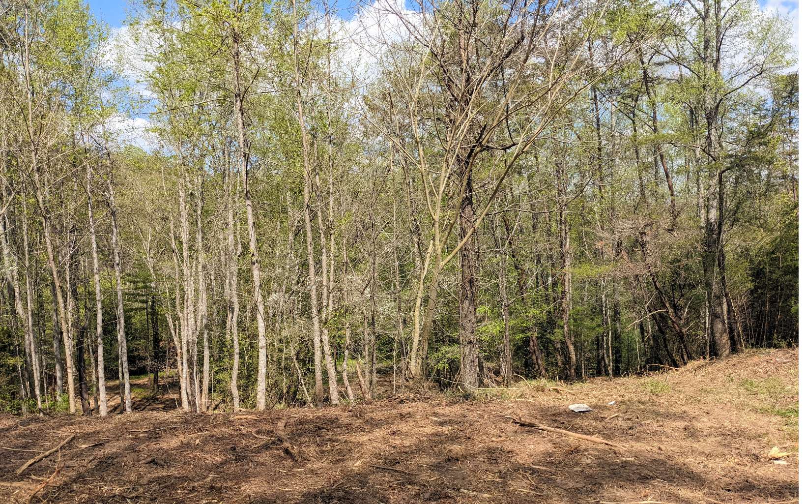Lot 2 Huntington Ridge Road Blairsville, GA 30512 - Photo 14 of 29 Additional View