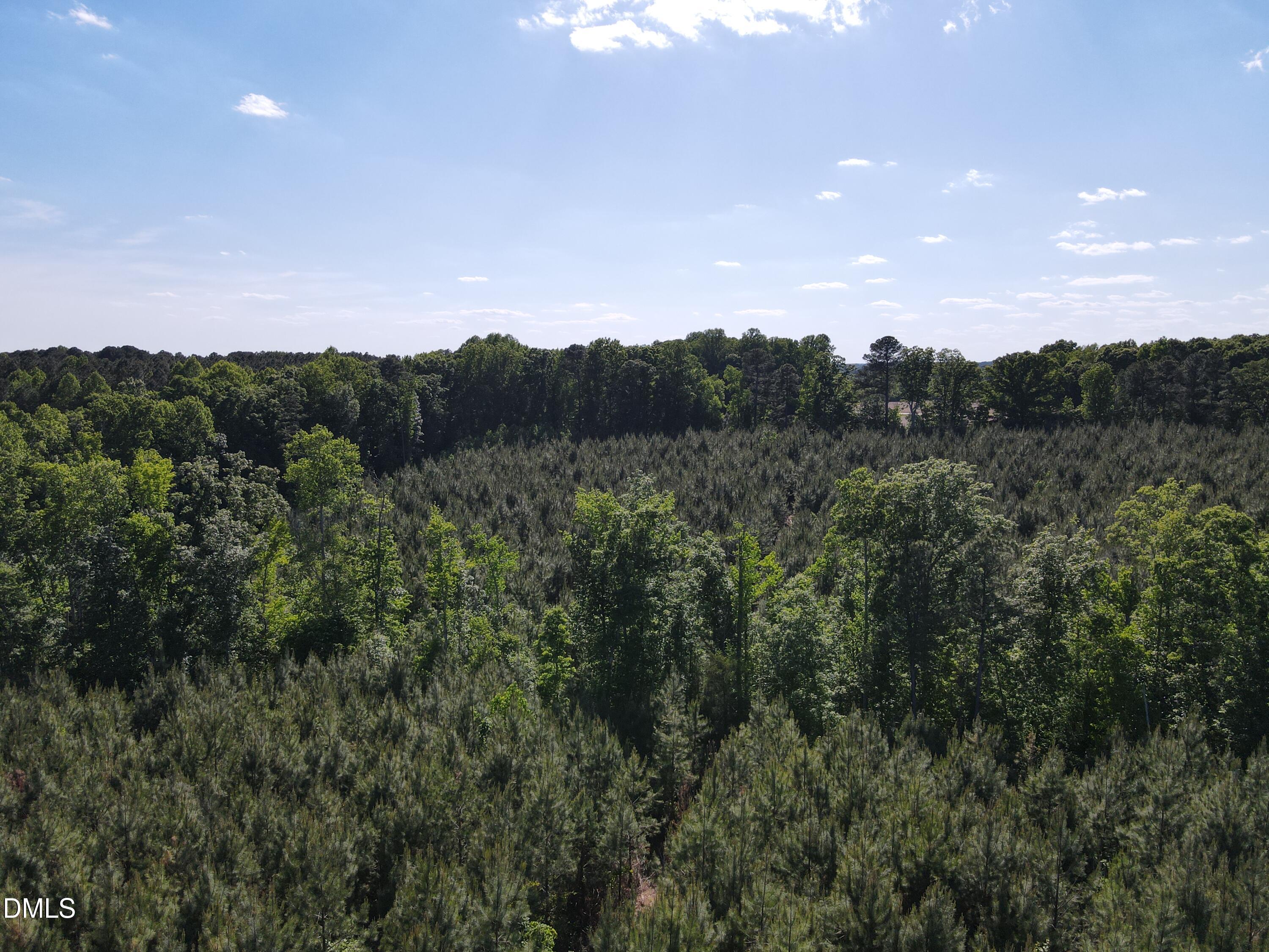 8 Julie McKnight Road Kittrell, NC 27544 - Photo 5 of 8 DJI_0793