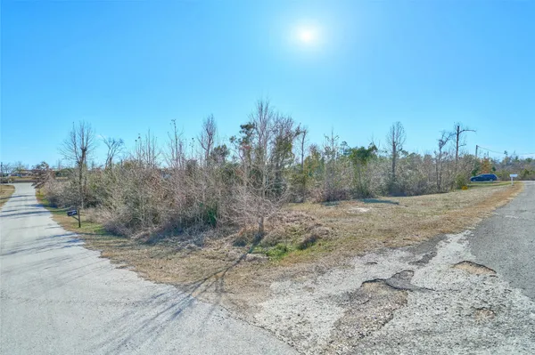 a view of a dry yard with wooden fence