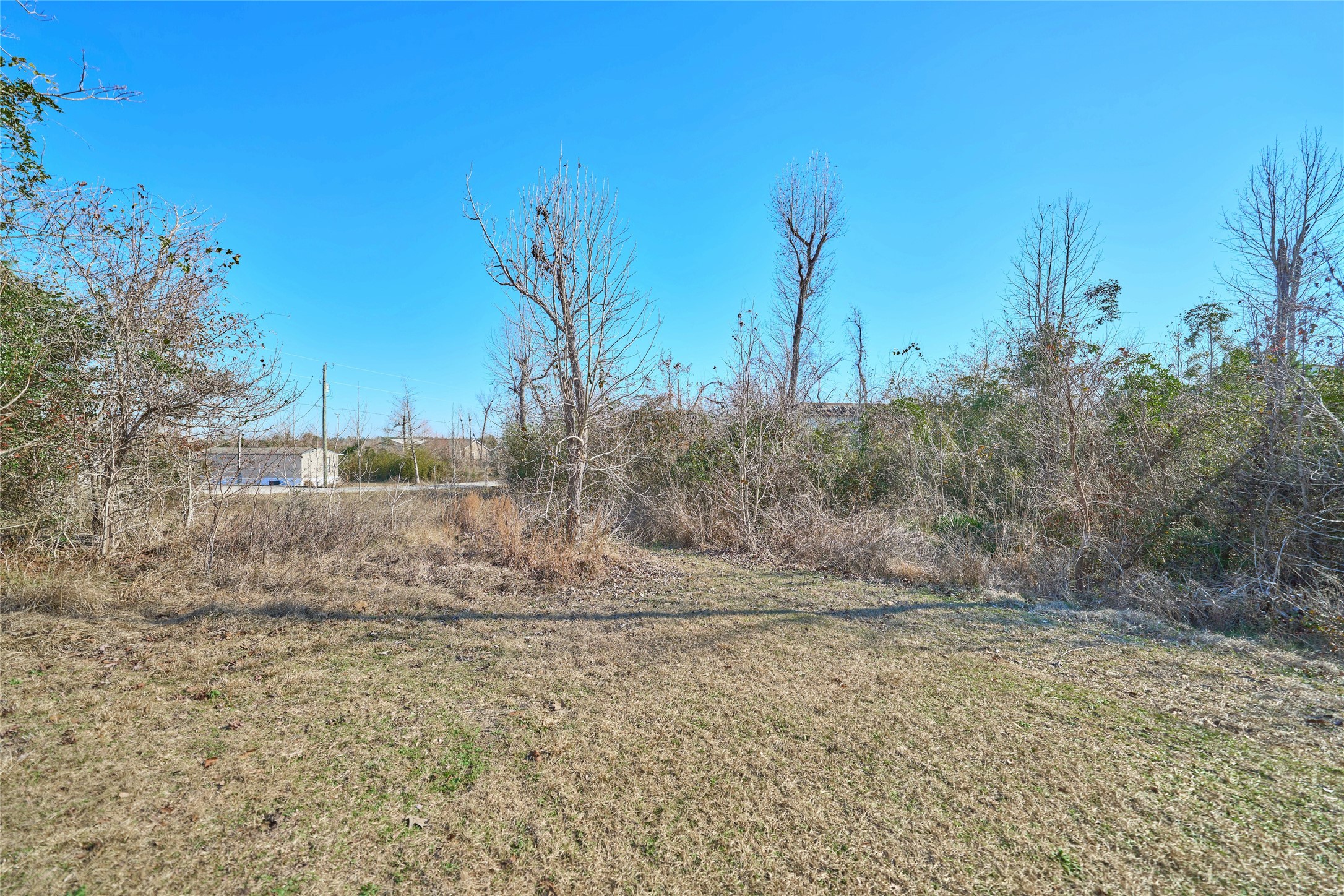 Tbd Maple Cove Onalaska, TX 77360 - Photo 12 of 17