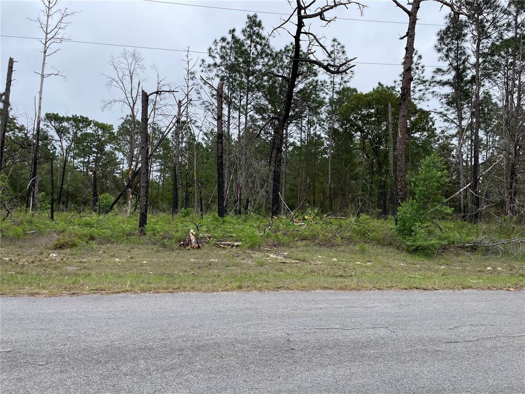 Tbd Southwest 64th Terrace Road Ocala, FL 34473 - Photo 1 of 1 a view of outdoor space with trees all around
