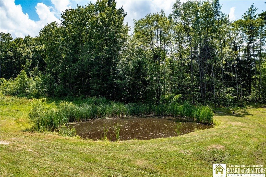 4877 Kortwright Road Busti, NY 14710 - Photo 44 of 48