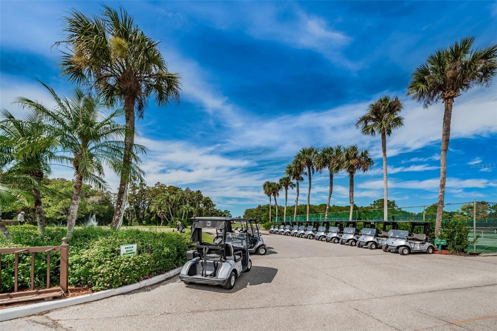 3716 Trophy Boulevard, Unit 3716 New Port Richey, FL 34655 - Photo 33 of 56 a view of a patio with a table and chairs under an umbrella with palm trees