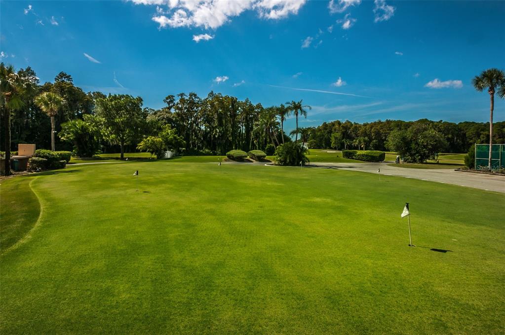 3716 Trophy Boulevard, Unit 3716 New Port Richey, FL 34655 - Photo 51 of 56 a view of a golf course with green space