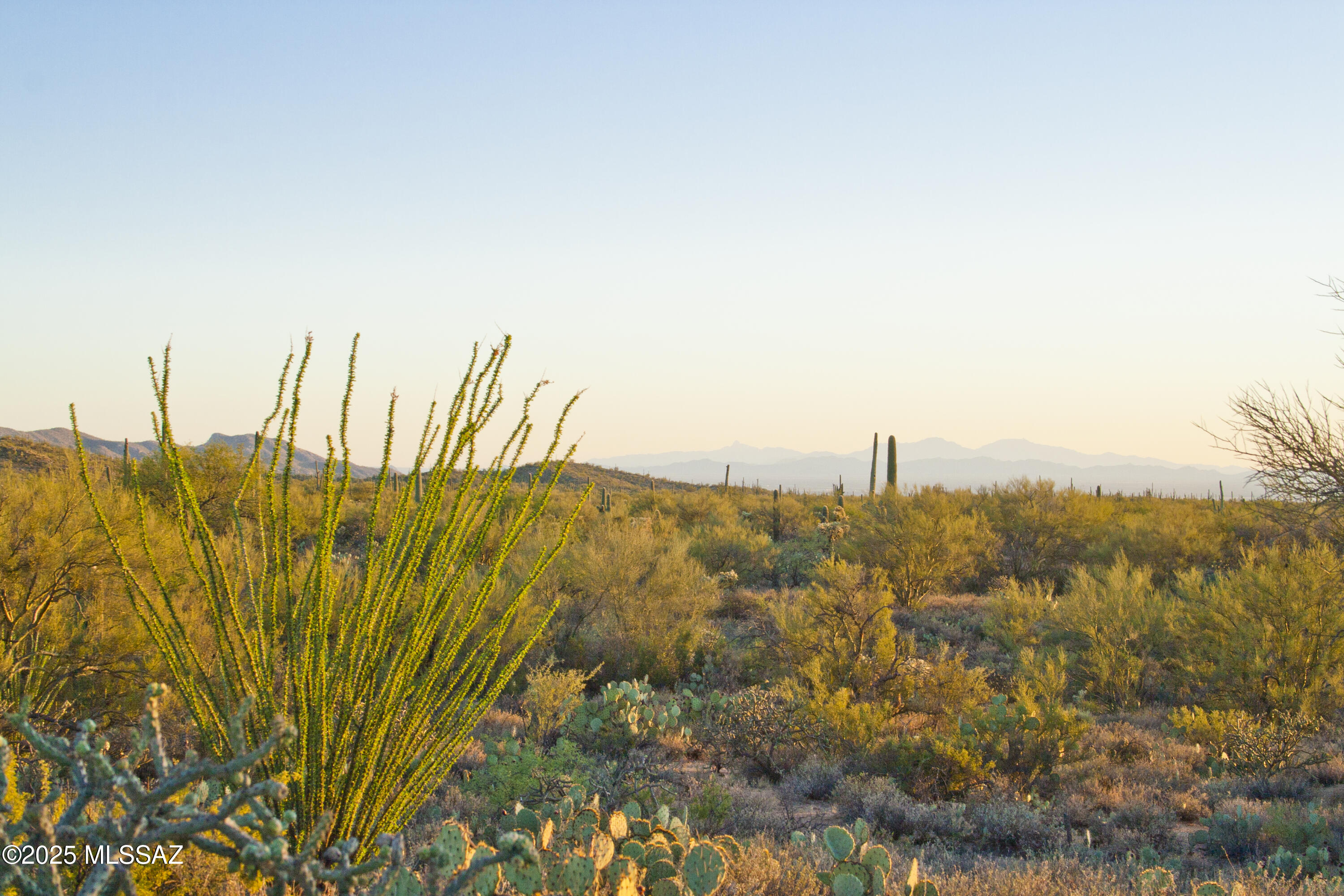 0 Silverian Road Marana, AZ 85658 - Photo 15 of 32