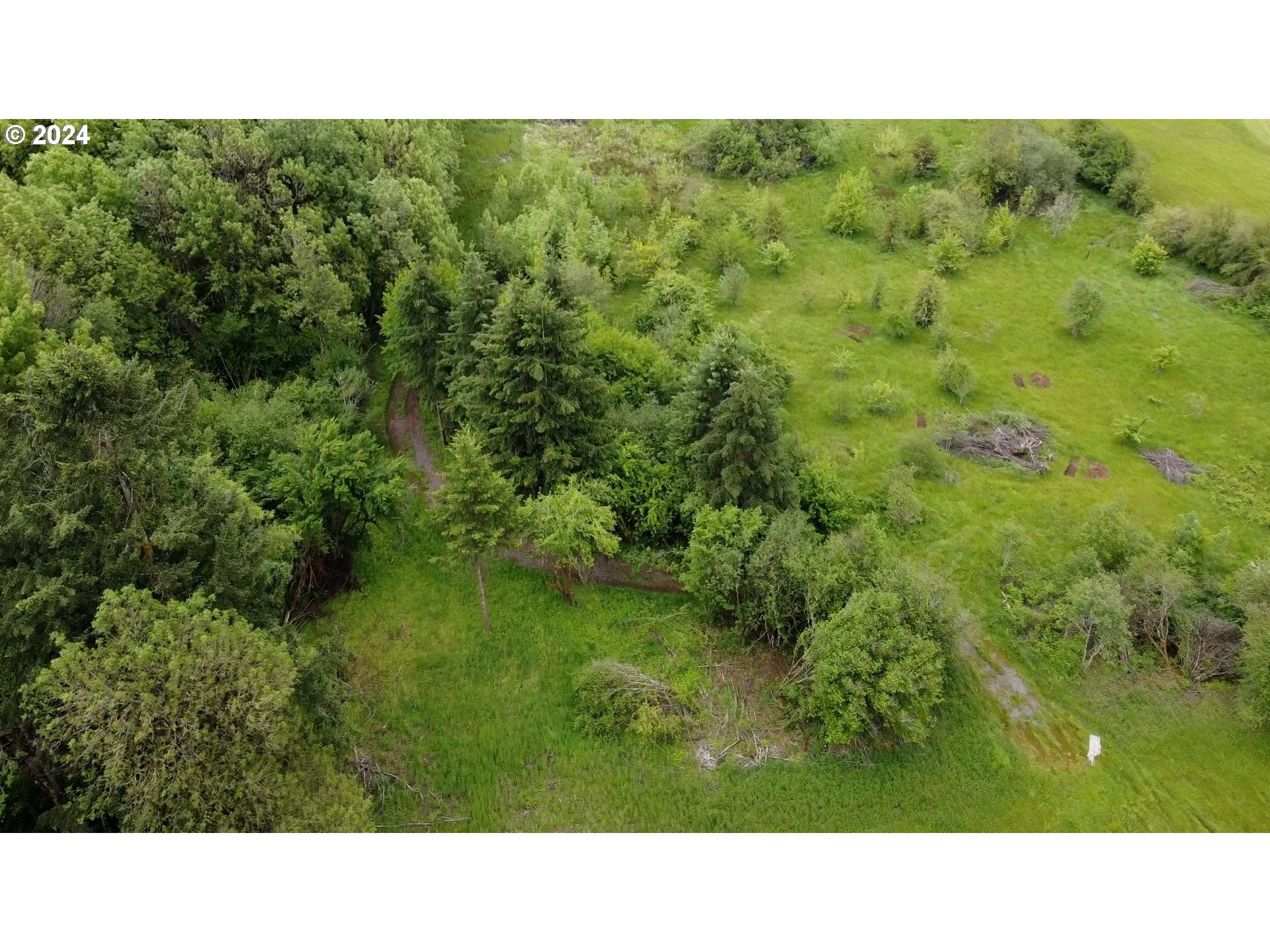 0 Northeast 199th Street Ridgefield, WA 98642 - Photo 5 of 8