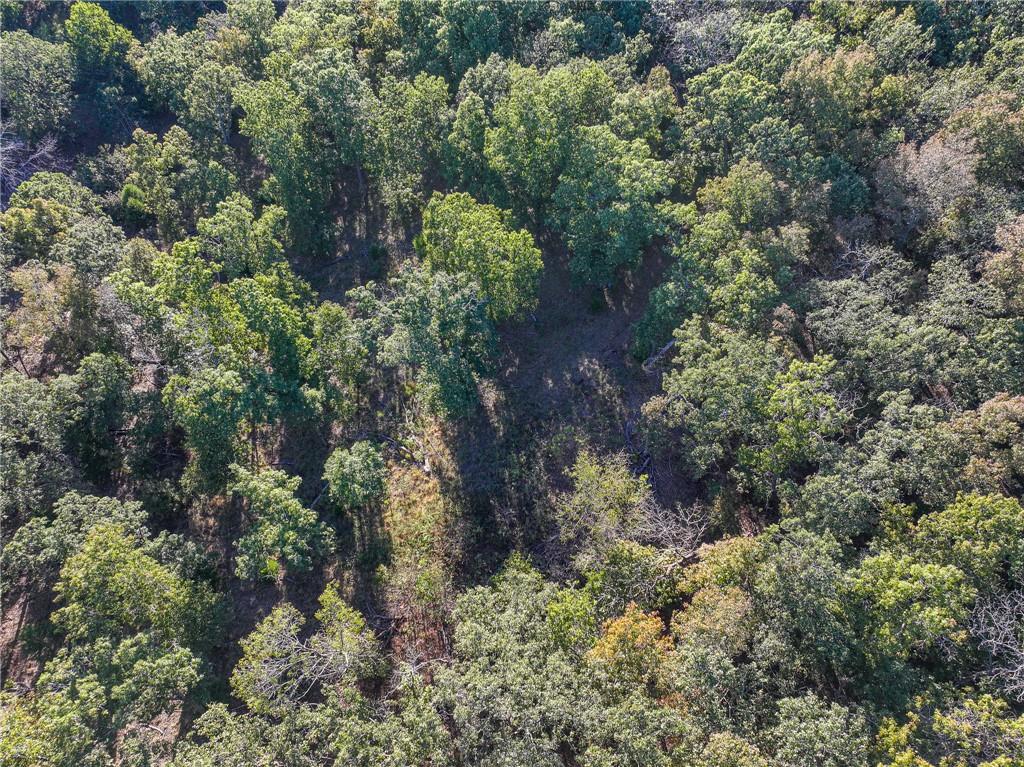 2125 S Road Stockton, MO 65785 - Photo 14 of 33 Gallery Image 14
