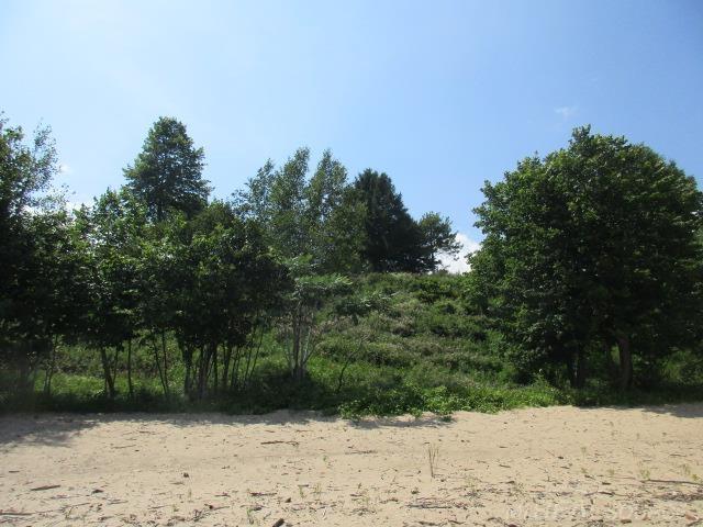 7100 Lakeshore Road Palms, MI 48465 - Photo 6 of 16