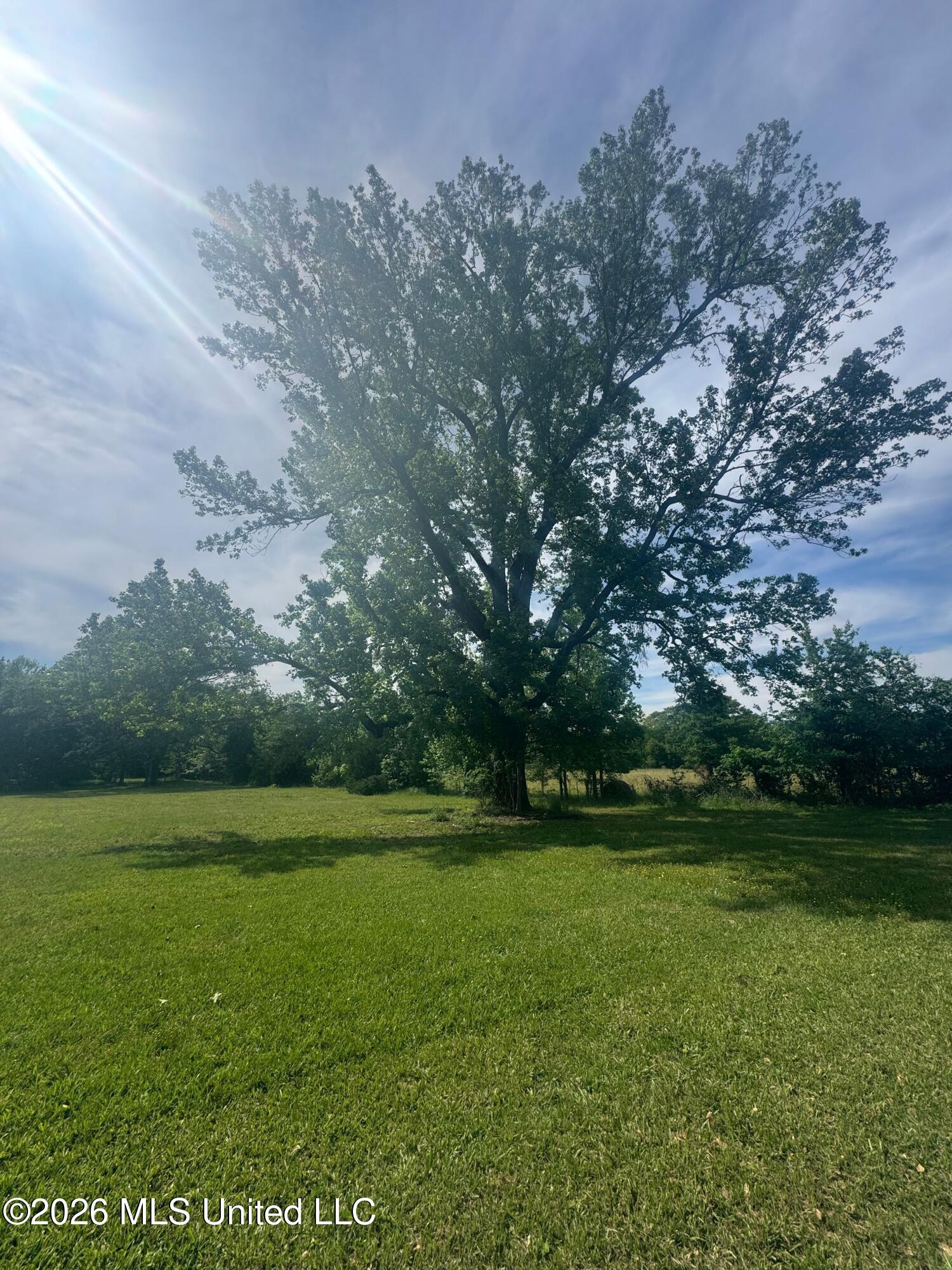 5426 Myrleville Road Yazoo City, MS 39194 - Photo 11 of 15 IMG_8119