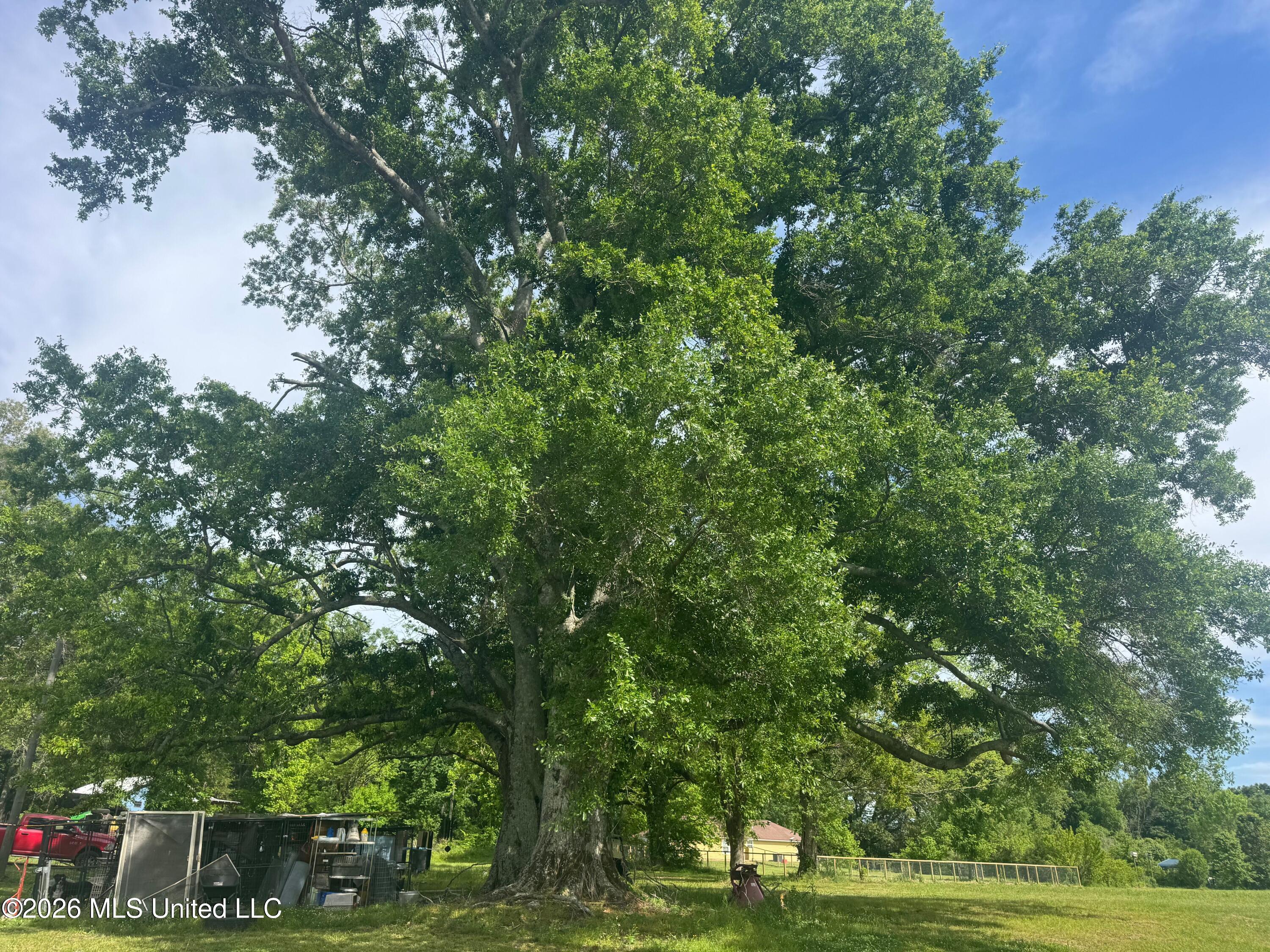 5426 Myrleville Road Yazoo City, MS 39194 - Photo 7 of 15 IMG_8113