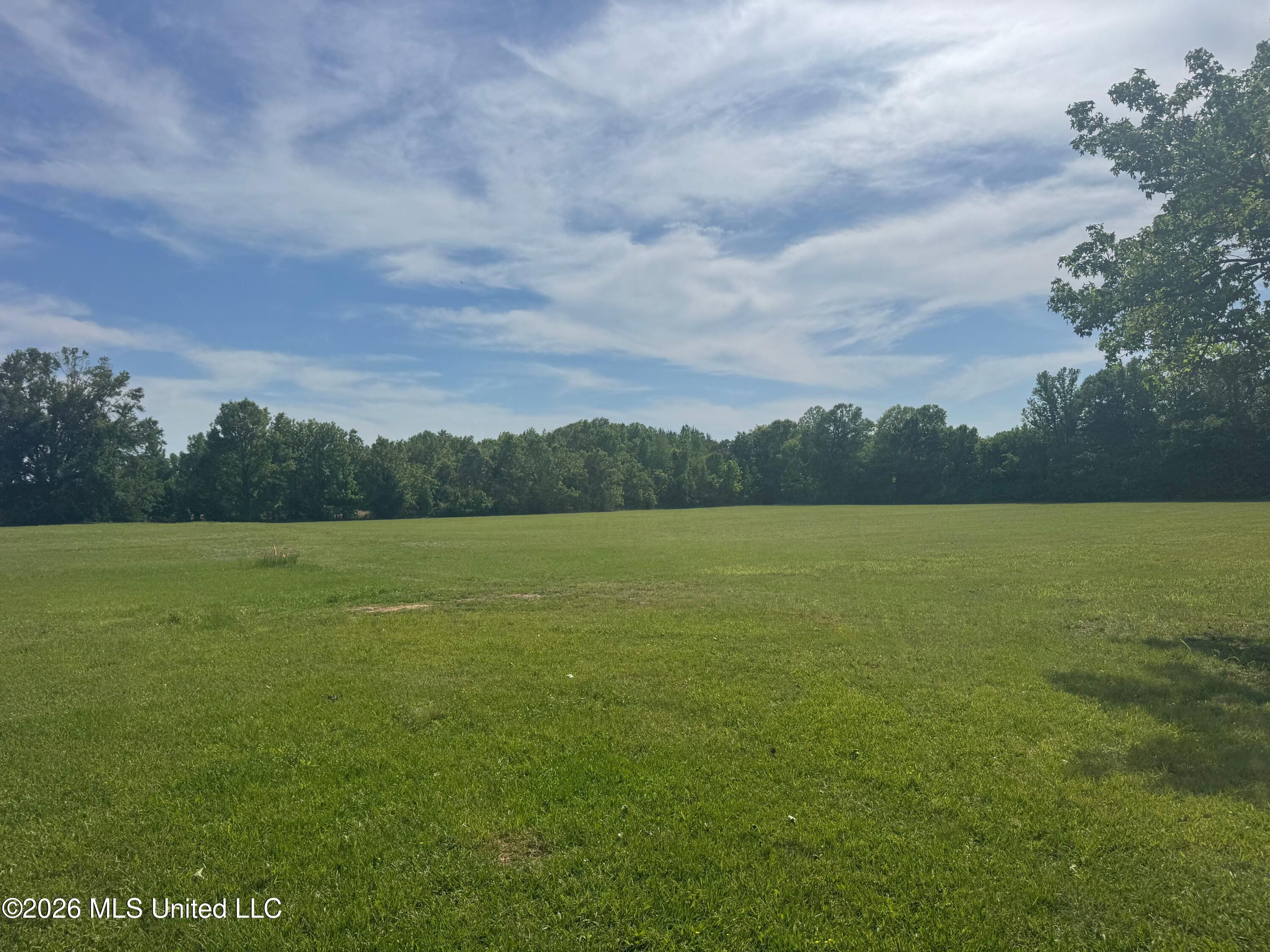 5426 Myrleville Road Yazoo City, MS 39194 - Photo 10 of 15 IMG_8118