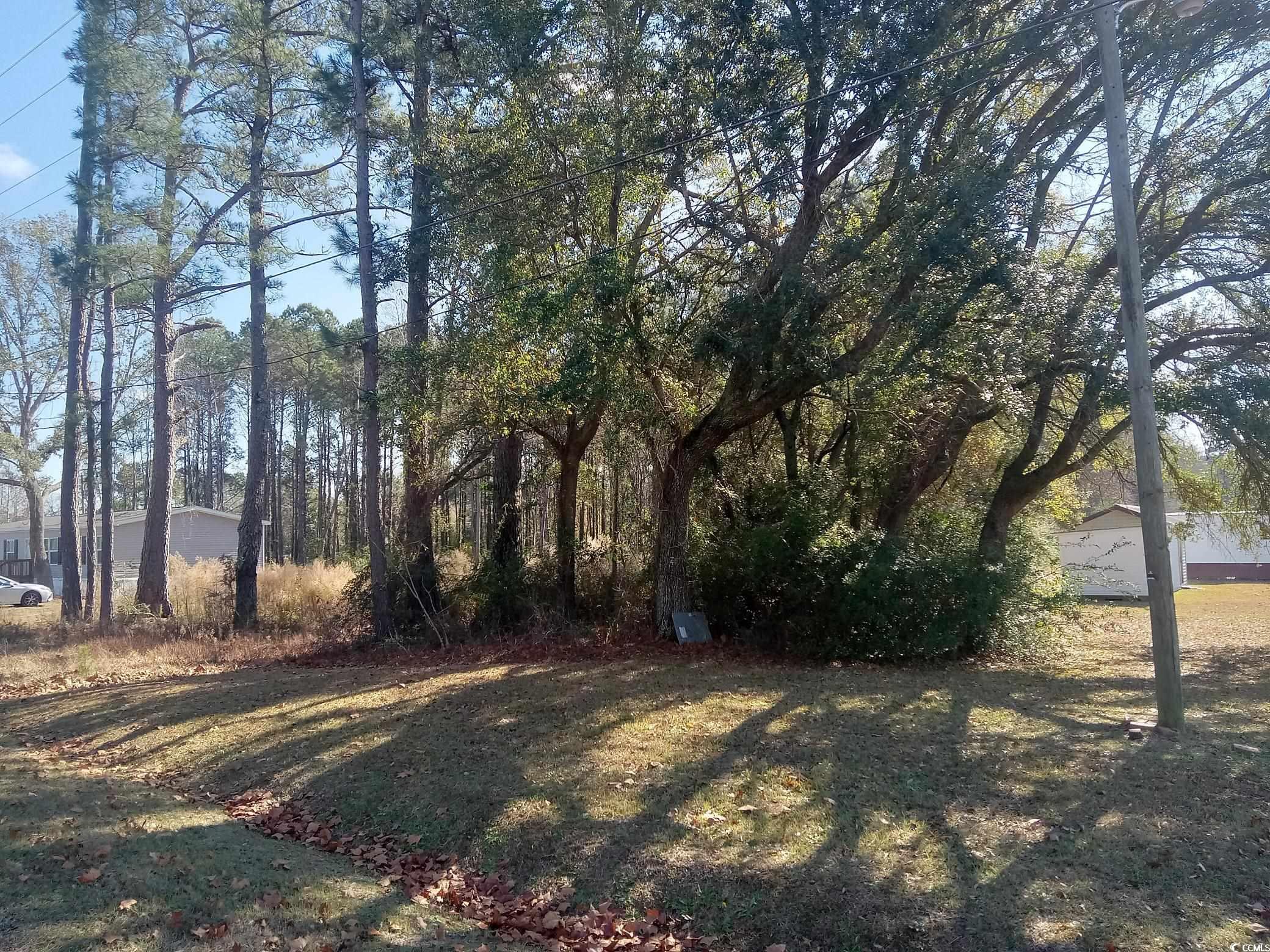 3800 Kickapoo Drive Green Sea, SC 29545 - Photo 10 of 10