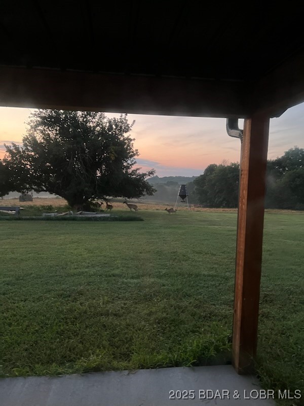 6565-6567 Jay Bird Road Florence, MO 65329 - Photo 41 of 70 deer enjoying the productive apple tree in the bac