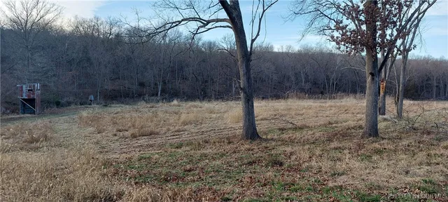 $1,100,000 | 6565-6567 Jay Bird Road, Florence, MO 65329