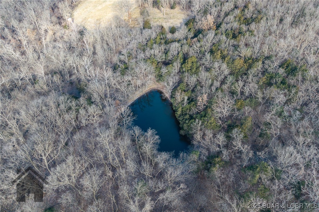 6565-6567 Jay Bird Road Florence, MO 65329 - Photo 66 of 70 Pond for animals, wildlife or fishing!