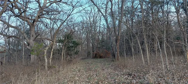 $1,100,000 | 6565-6567 Jay Bird Road, Florence, MO 65329