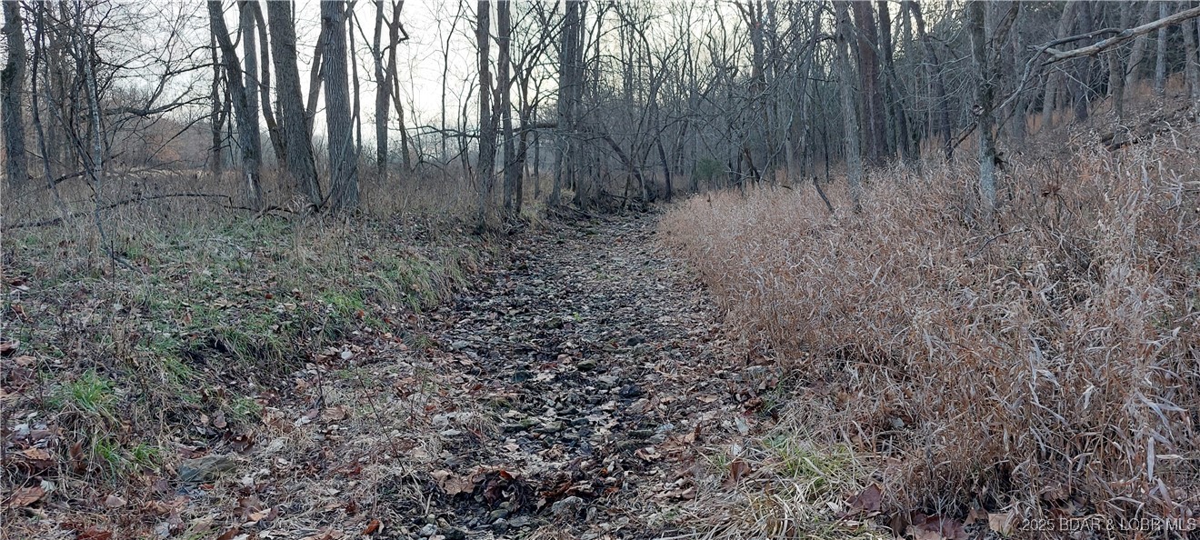6565-6567 Jay Bird Road Florence, MO 65329 - Photo 69 of 70 Wet weather creek