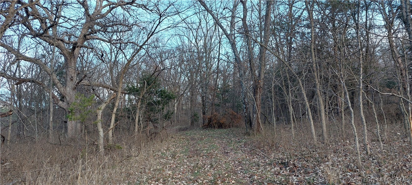 6565-6567 Jay Bird Road Florence, MO 65329 - Photo 70 of 70 Trails cut through property for ATV, hiking or hor