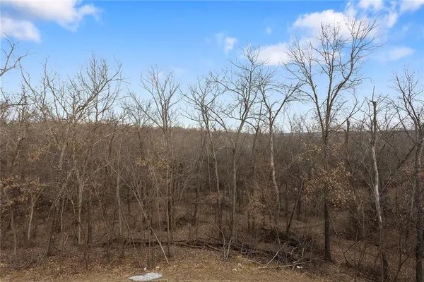 $463,000 | 110 Woodland Avenue, Lone Jack, MO 64070