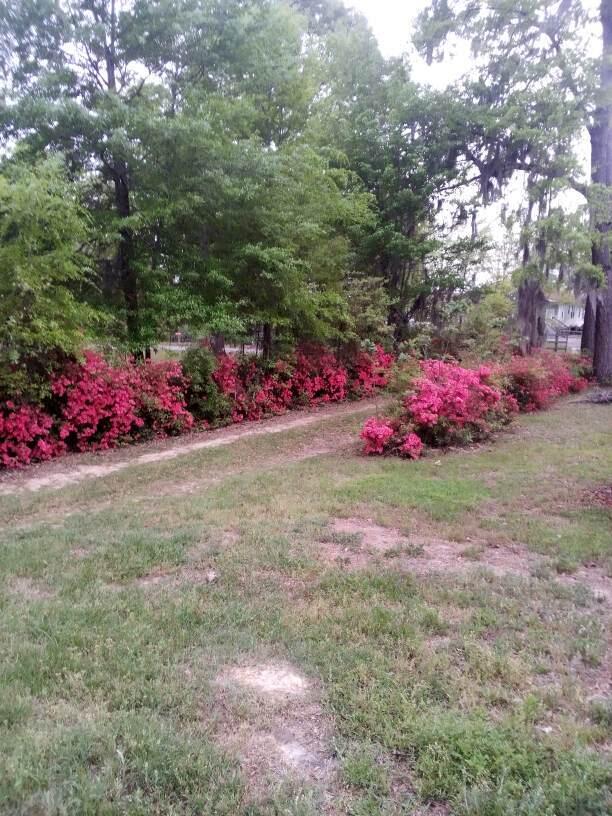 1201 Crescent Street Summerton, SC 29148 - Photo 5 of 24 IMG_20250624_093835