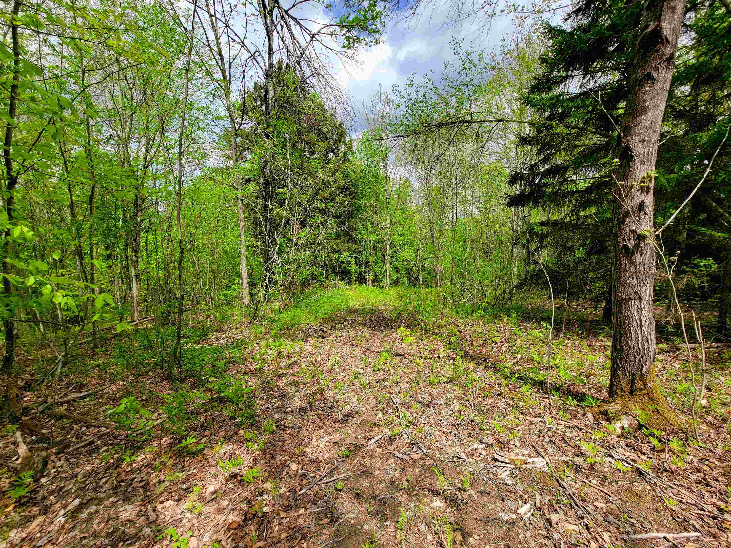 167 High Meadow Road Stowe, VT 05672 - Photo 22 of 60 Gallery Image 22