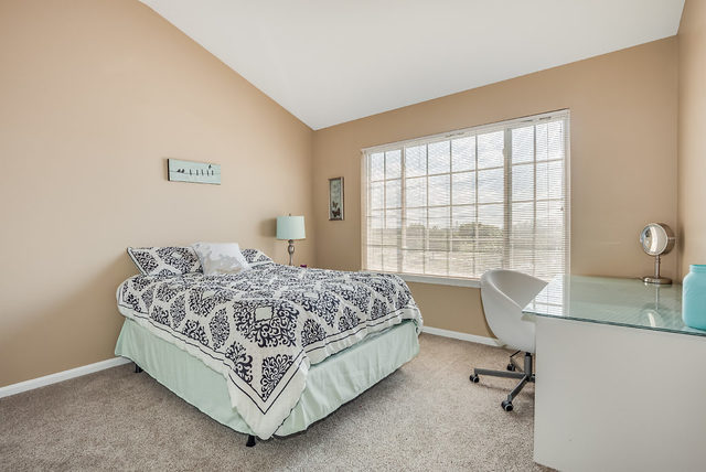 219 Larsdotter Lane Geneva, IL 60134 - Photo 15 of 16