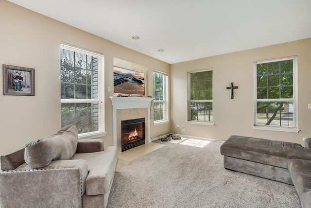 219 Larsdotter Lane Geneva, IL 60134 - Photo 4 of 16