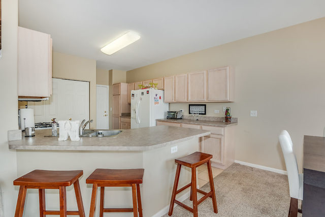 219 Larsdotter Lane Geneva, IL 60134 - Photo 7 of 16