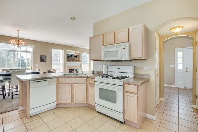 219 Larsdotter Lane Geneva, IL 60134 - Photo 8 of 16