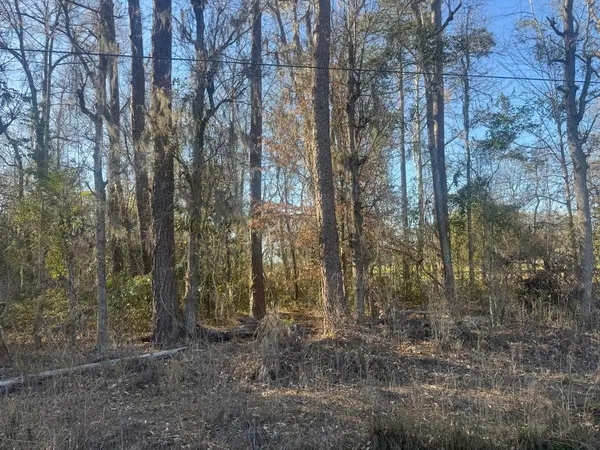 $69,900 | 2135 Highway 646, Green Sea, SC 29545