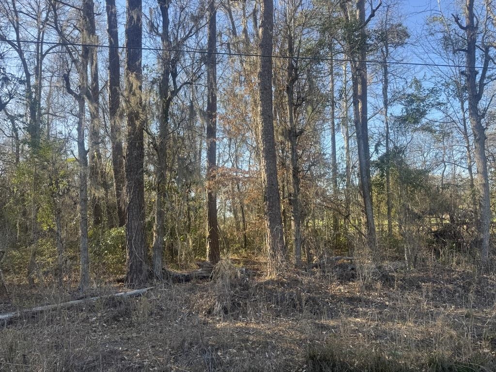 2135 Highway 646 Green Sea, SC 29545 - Photo 5 of 12
