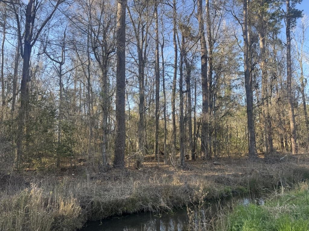 2135 Highway 646 Green Sea, SC 29545 - Photo 6 of 12