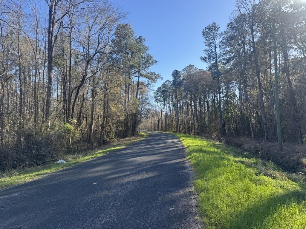 2135 Highway 646 Green Sea, SC 29545 - Photo 9 of 12