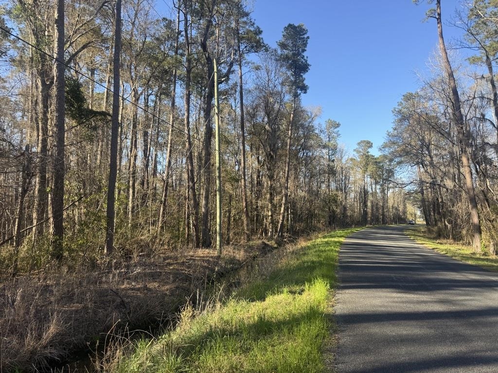 2135 Highway 646 Green Sea, SC 29545 - Photo 10 of 12