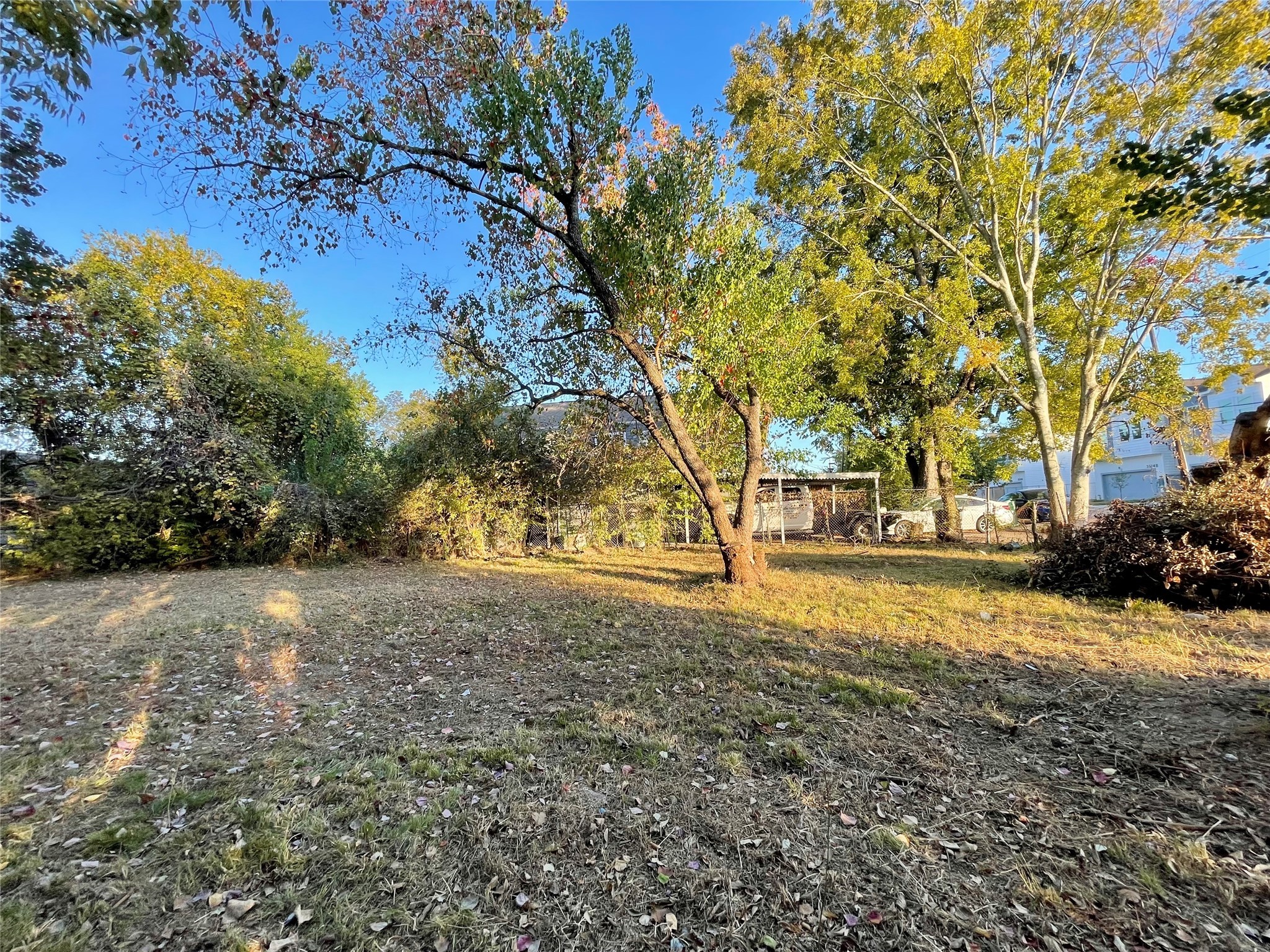 3503 Good Hope Street Houston, TX 77021 - Photo 4 of 11