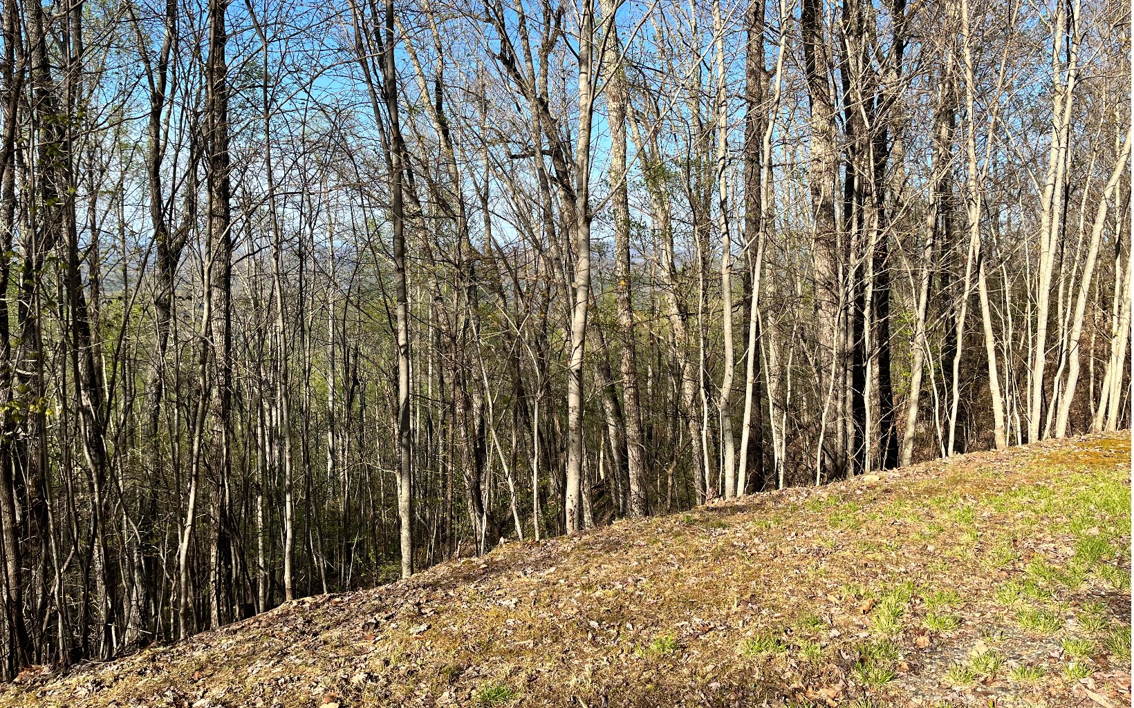 119 Croft Mountain Road Blairsville, GA 30512 - Photo 11 of 20 Additional View