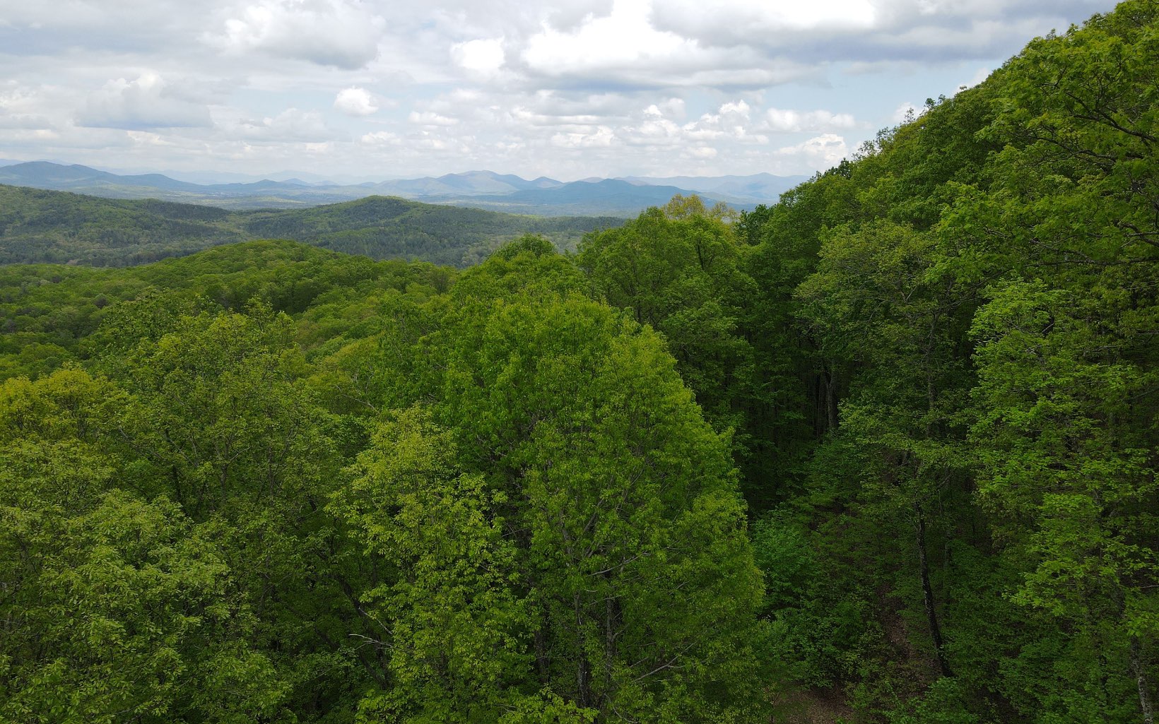 119 Croft Mountain Road Blairsville, GA 30512 - Photo 16 of 20 Additional View