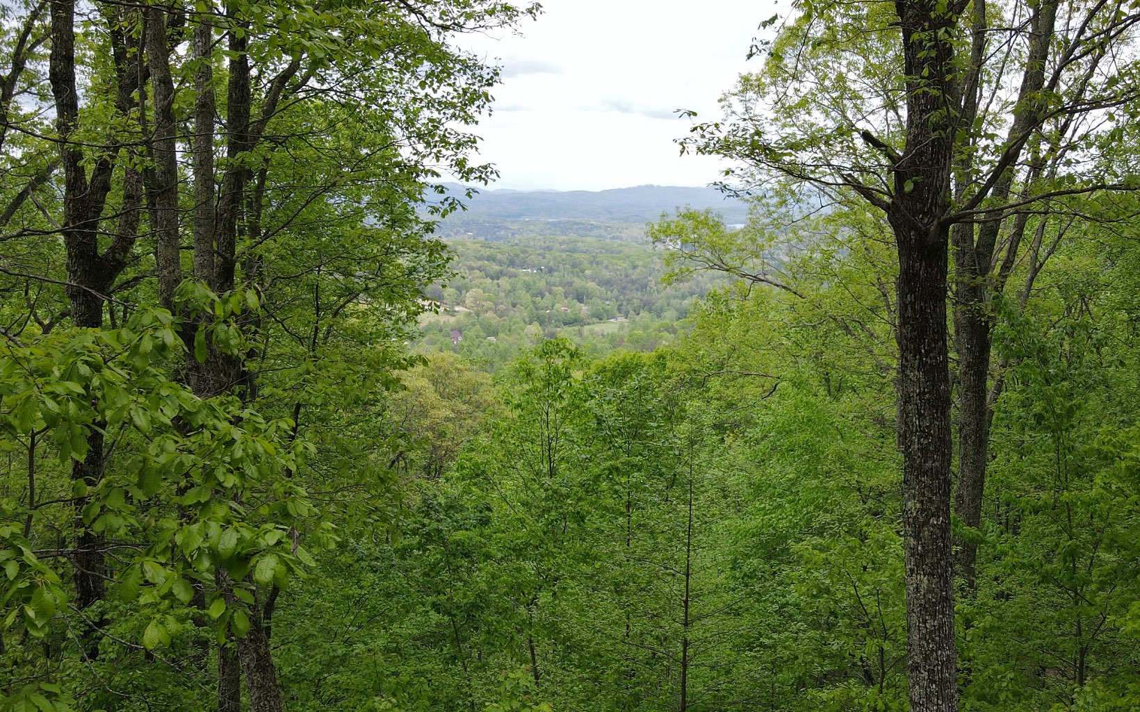 119 Croft Mountain Road Blairsville, GA 30512 - Photo 2 of 20 Additional View