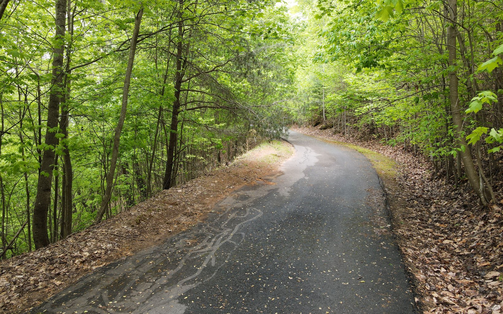 119 Croft Mountain Road Blairsville, GA 30512 - Photo 3 of 20 Additional View