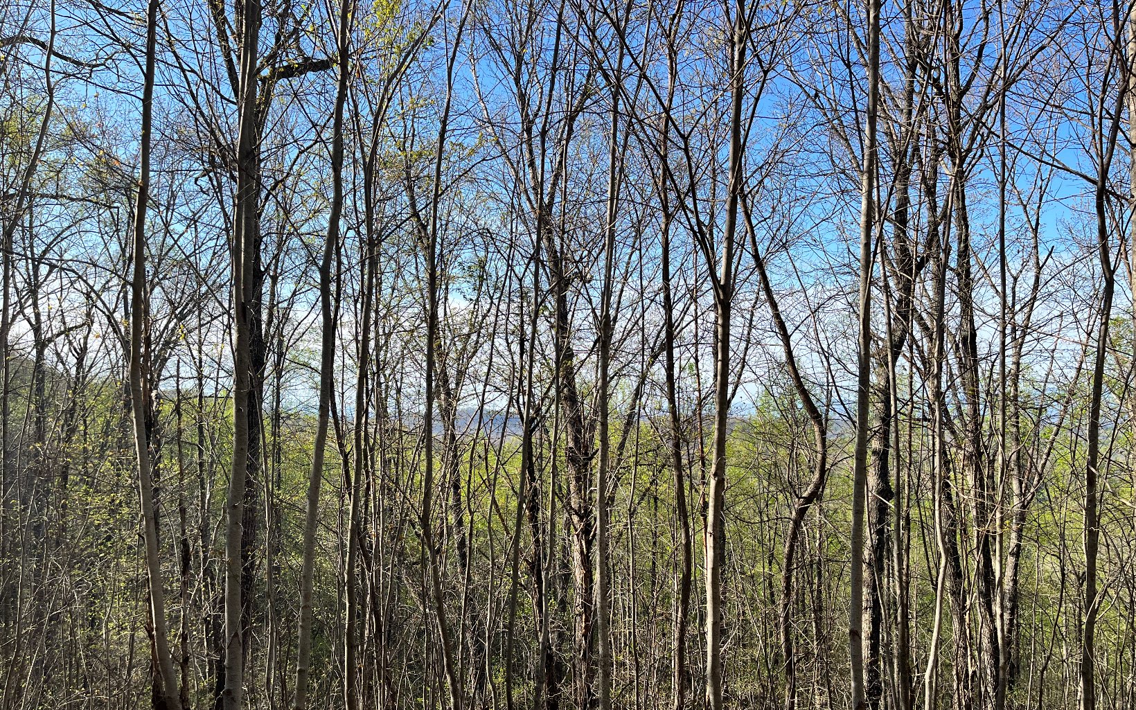 119 Croft Mountain Road Blairsville, GA 30512 - Photo 7 of 20 Additional View