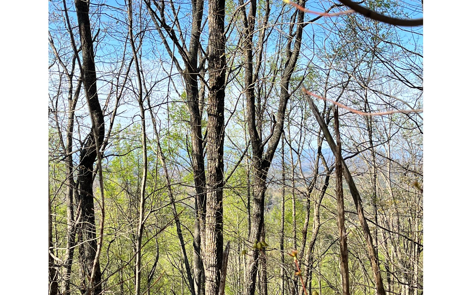 119 Croft Mountain Road Blairsville, GA 30512 - Photo 8 of 20 Additional View