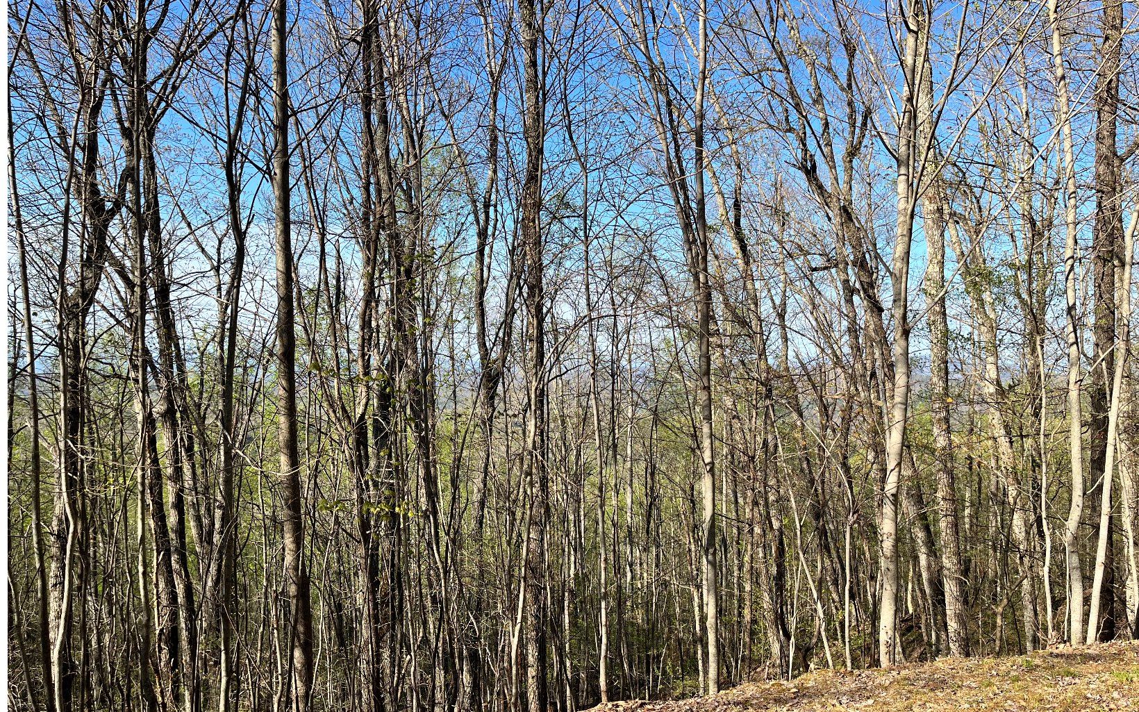 119 Croft Mountain Road Blairsville, GA 30512 - Photo 9 of 20 Additional View