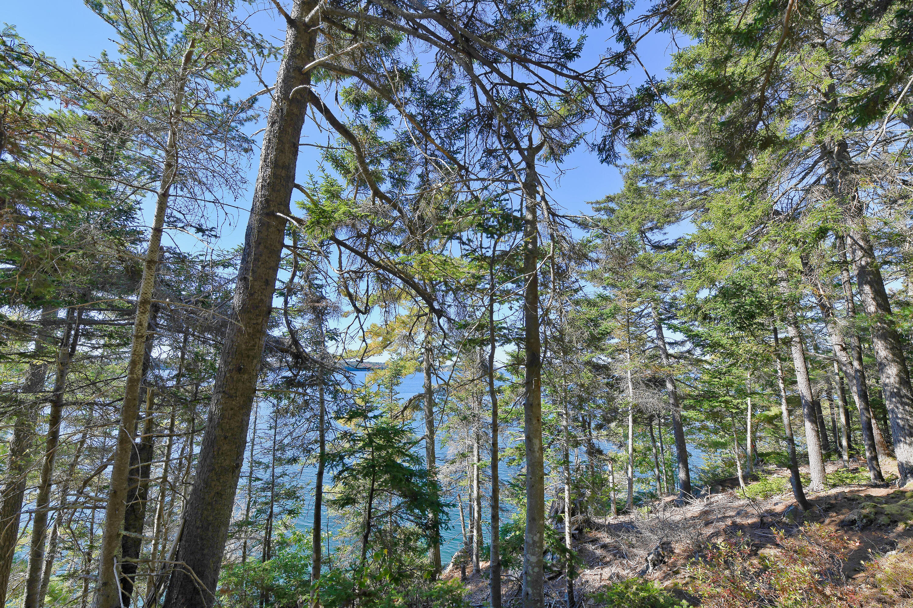 Lot 6 Sunset Road Brooksville, ME 04617 - Photo 30 of 35